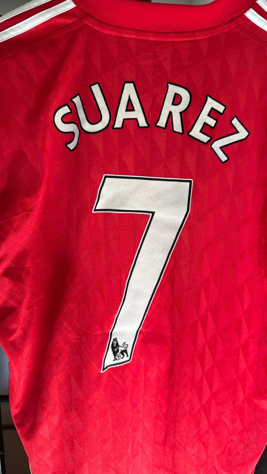 2010/11 home