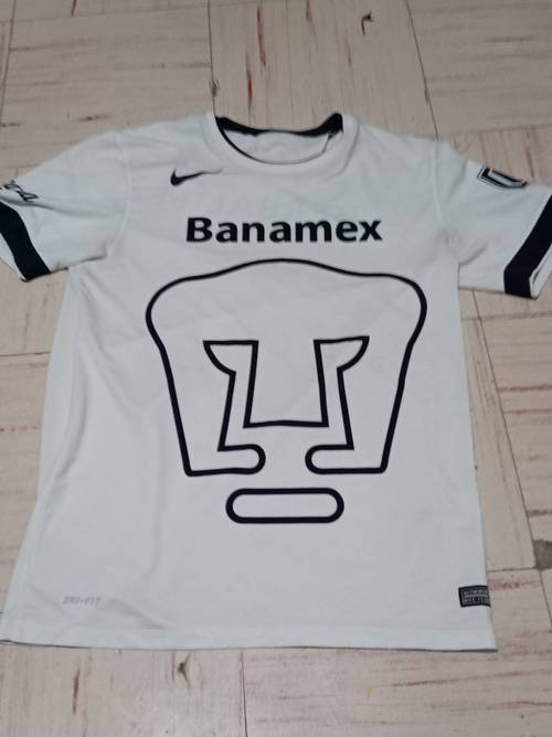 Pumas · 2014/15 · Third · M third