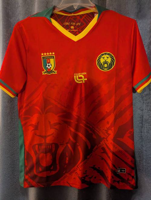 Cameroon · 2025/25 · Away · L away