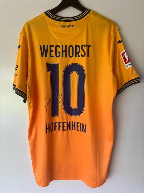 Hoffenheim Third